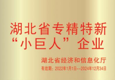 湖北省專精特新“小巨人”企業(yè)